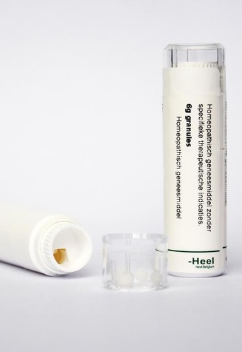 Homeoden Heel Nux vomica LM10 (6 Gram)