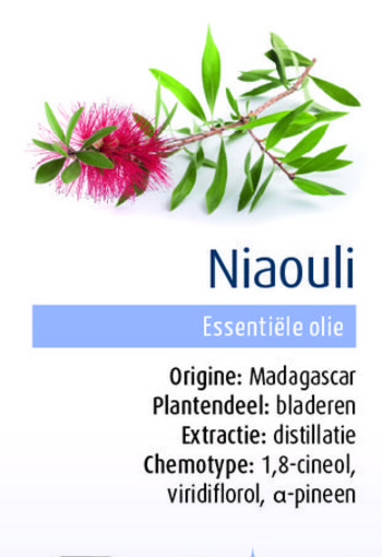 Physalis Niaouli bio (10 Milliliter)