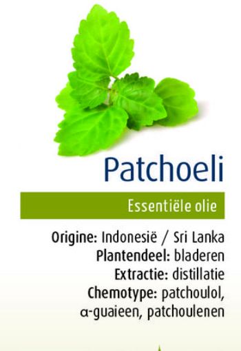 Physalis Patchoeli bio (10 Milliliter)