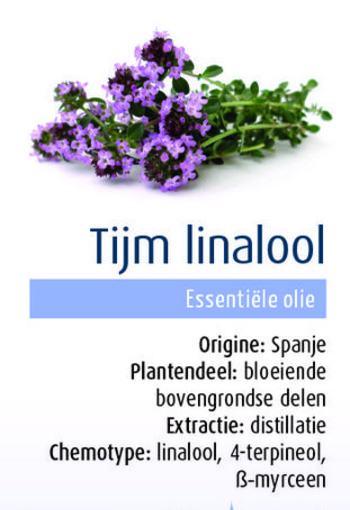 Physalis Tijm gele bio (10 Milliliter)