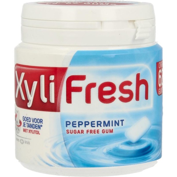 Xylifresh Peppermint (93 Gram)