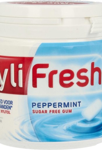 Xylifresh Peppermint (93 Gram)