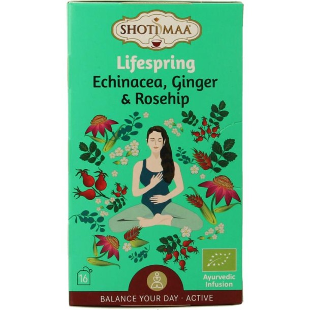Shoti Maa Lifespring echinacea, ginger & rosehip bio (16 Zakjes)