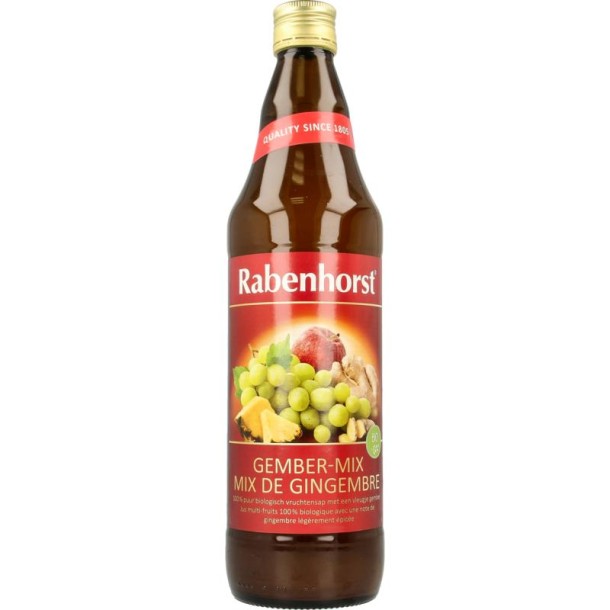 Rabenhorst Ginger mix bio (750 Milliliter)