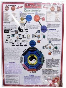 Alive Feng shui kaart met kristal (1 Stuks)