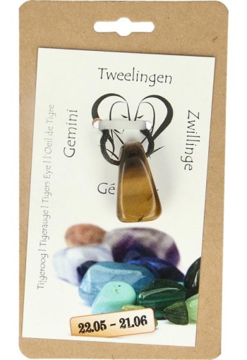 Steengoed Sterrenbeeldsteen hanger tweelingen (1 Stuks)