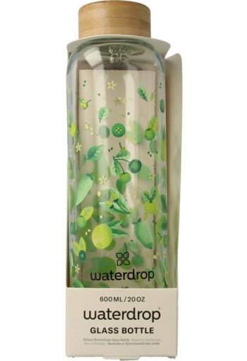 Waterdrop Glazen drinkfles focus 600ml (1 Stuks)