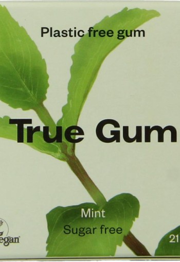 True Gum Mint suikervrij (21 Gram)