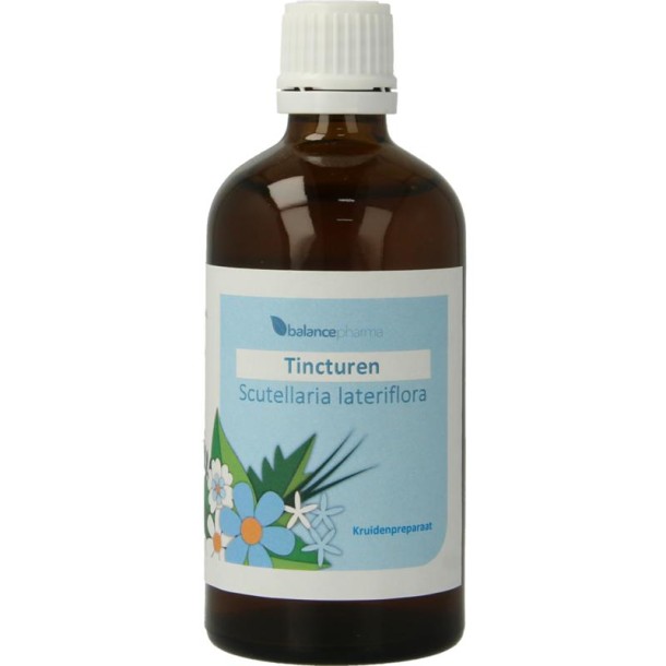 Balancepharma Scutellaria lateriflora tincturen (100 Milliliter)