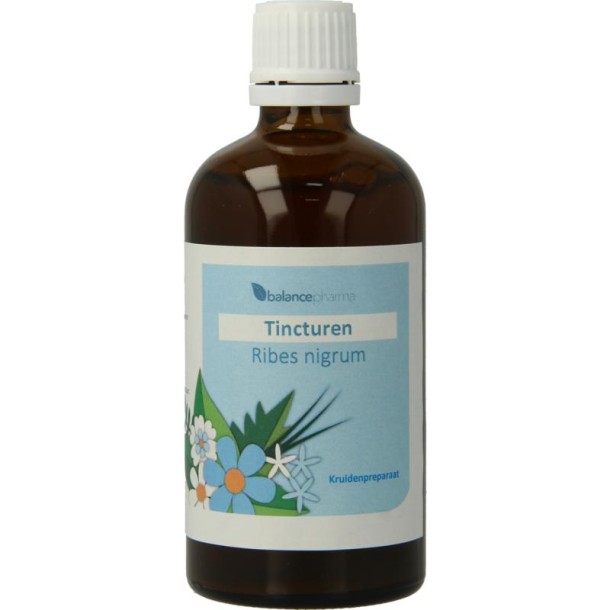 Balancepharma Ribes nigrum tincturen (100 Milliliter)