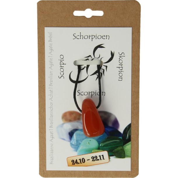 Steengoed Sterrenbeeldhanger schorpioen (1 Stuks)
