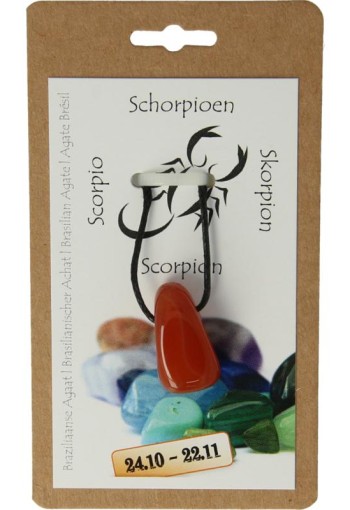 Steengoed Sterrenbeeldhanger schorpioen (1 Stuks)