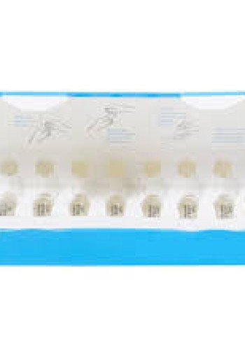 Etos 24H Hydra Face Ampoules