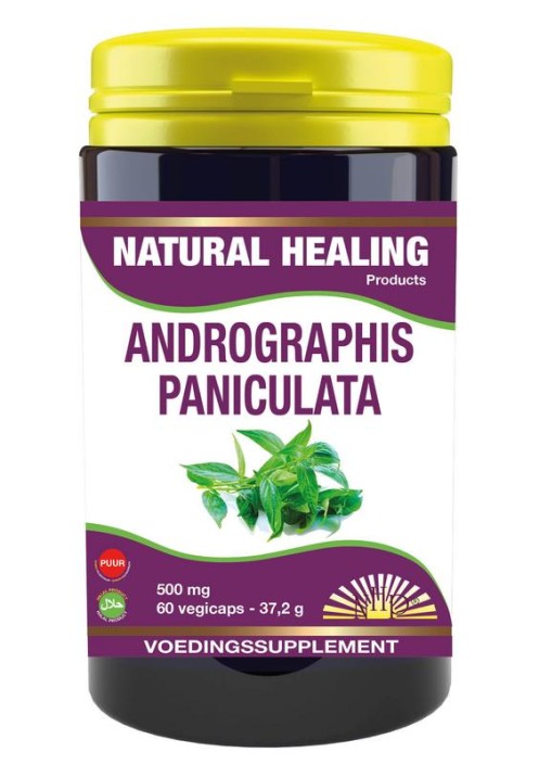NHP Andrographis paniculata 500mg puur (60 Vegetarische capsules)