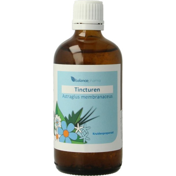 Balancepharma Astragalus membranaceus tincturen (100 Milliliter)