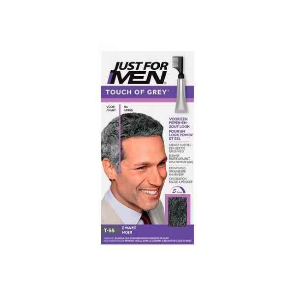 Just For Men Touch of Grey T55