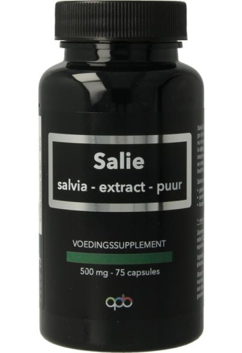 Apb Holland Salie extract puur 500mg (75 Capsules)