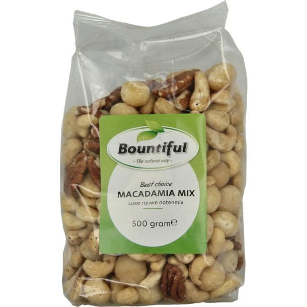 Bountiful Macadamia mix (500 Gram)