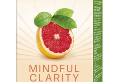 Piramide Mindful clarity bio (20 Zakjes)