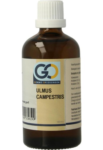 GO Ulmus campestris bio (100 Milliliter)