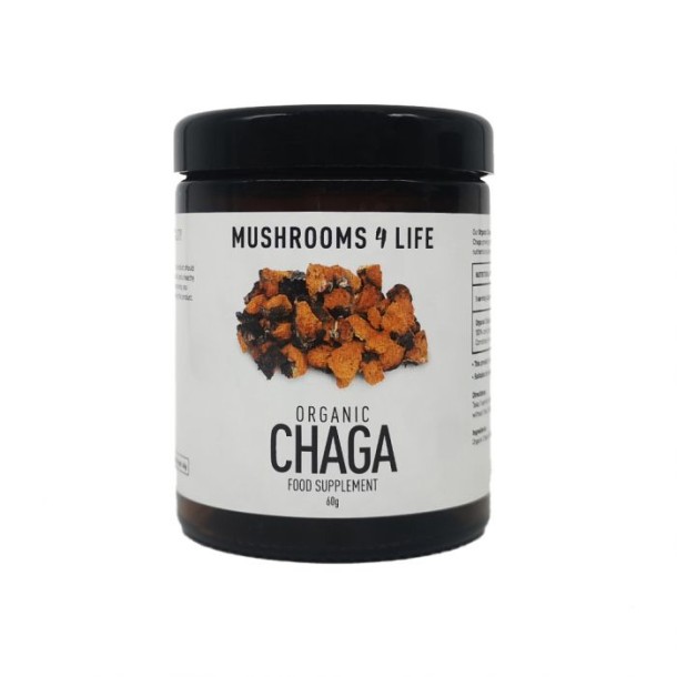 Mushrooms F Life Chaga poeder bio (60 Gram)