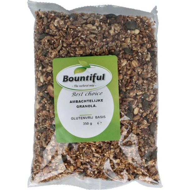 Bountiful Ambachtelijke granola glutenvrij bio (350 Gram)