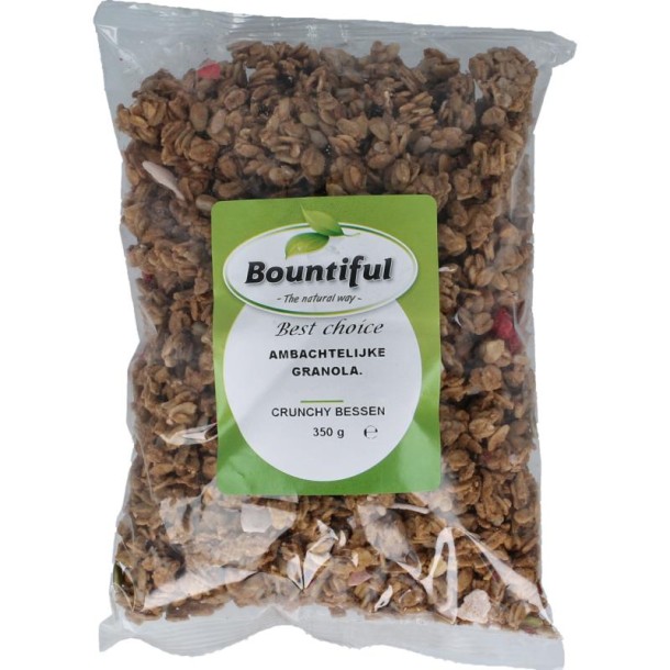 Bountiful Ambachtelijke granola krunchy bessen (350 Gram)