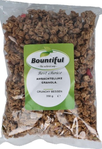 Bountiful Ambachtelijke granola krunchy bessen (350 Gram)