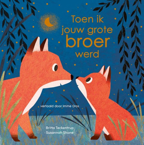 Prentenboek: Toen ik jouw grote broer werd.... 3+