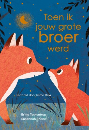 Prentenboek: Toen ik jouw grote broer werd.... 3+
