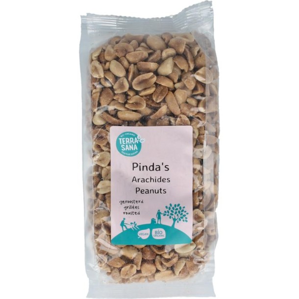 Terrasana Pinda zonder vlies zonder zout bio (250 Gram)