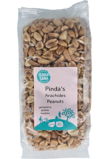 Terrasana Pinda zonder vlies zonder zout bio (250 Gram)