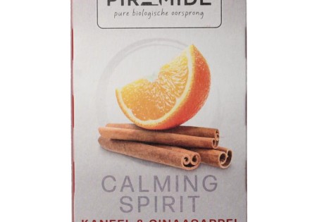 Piramide Calming spirit bio (20 Zakjes)