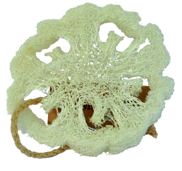 Aleppo Soap Co Loofah natuurspons plak (1 Stuks)