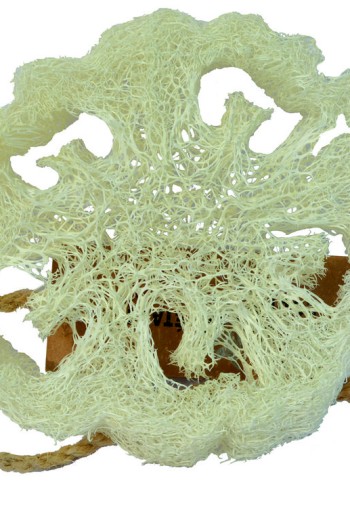 Aleppo Soap Co Loofah natuurspons plak (1 Stuks)