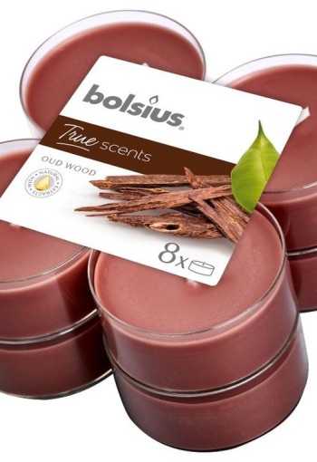 Bolsius True Scents maxilicht old wood (8 Stuks)