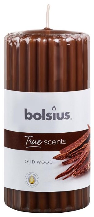 Bolsius True Scents stompkaars geur 120/58 old wood (1 Stuks)