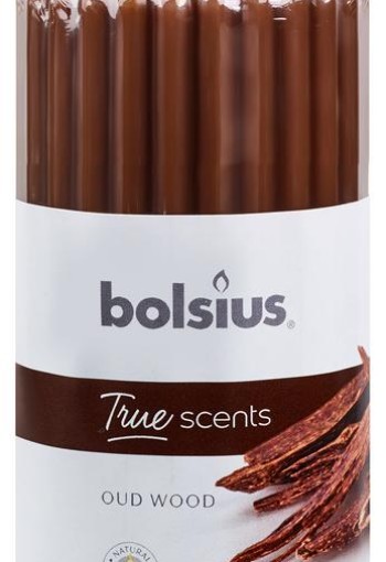 Bolsius True Scents stompkaars geur 120/58 old wood (1 Stuks)