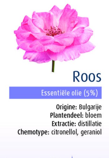Physalis Roos 5% bio (10 Milliliter)