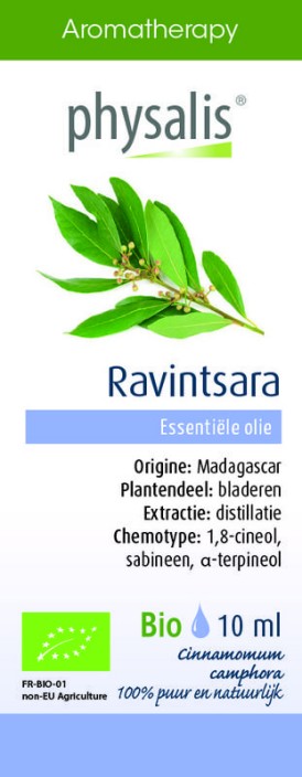 Physalis Ravintsara bio (30 Milliliter)
