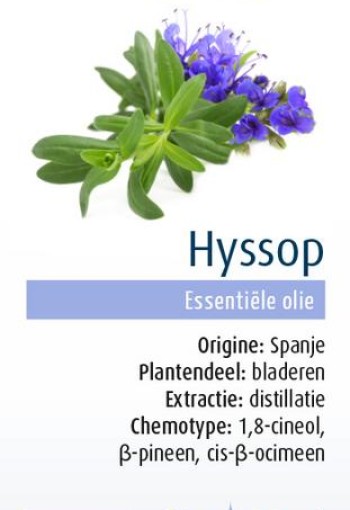 Physalis Hyssop bio (10 Milliliter)