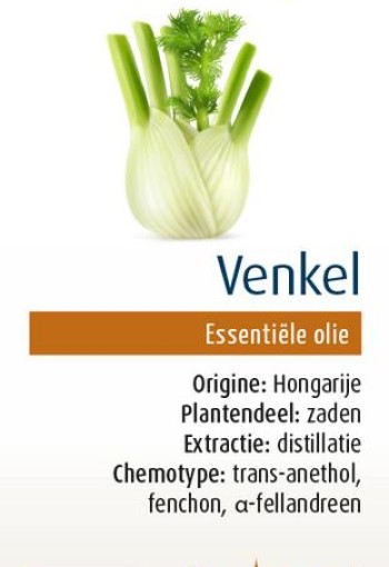 Physalis Venkel bio (10 Milliliter)