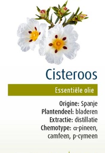 Physalis Cisteroos bio (5 Milliliter)