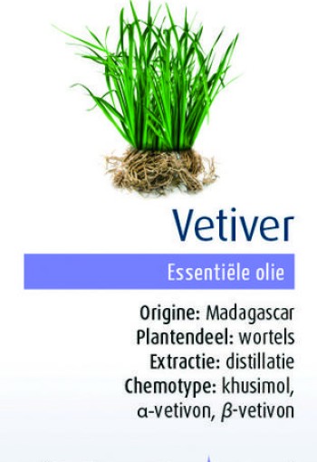 Physalis Vetiver bio (5 Milliliter)