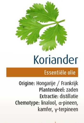 Physalis Koriander bio (10 Milliliter)