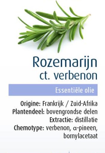 Physalis Rozemarijn ct. verbenon bio (10 Milliliter)
