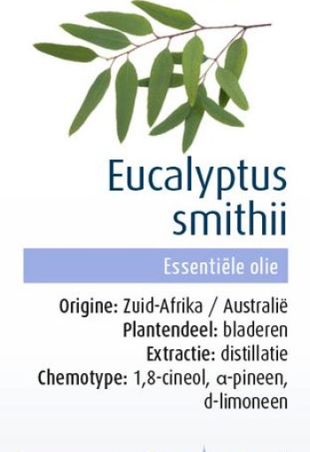 Physalis Eucalyptus smithii bio (10 Milliliter)