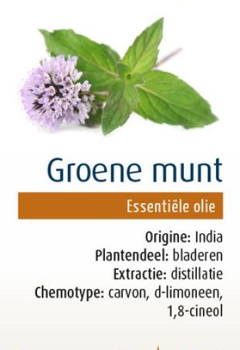 Physalis Groene munt bio (10 Milliliter)