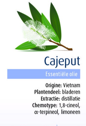 Physalis Cajeput bio (10 Milliliter)