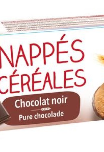 Bisson Pure chocolade frosted granenkoekjes bio (120 Gram)